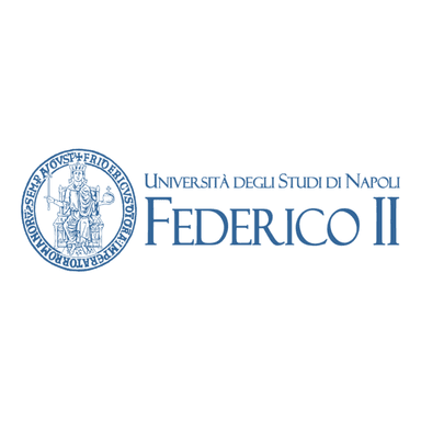 UniversitĂ Federico II